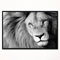 Designart - Lion Head in Grey