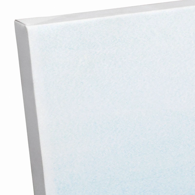 Single Potted Cactus 16" x 16" Canvas Wall Art