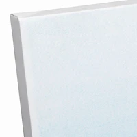 Single Potted Cactus 16" x 16" Canvas Wall Art