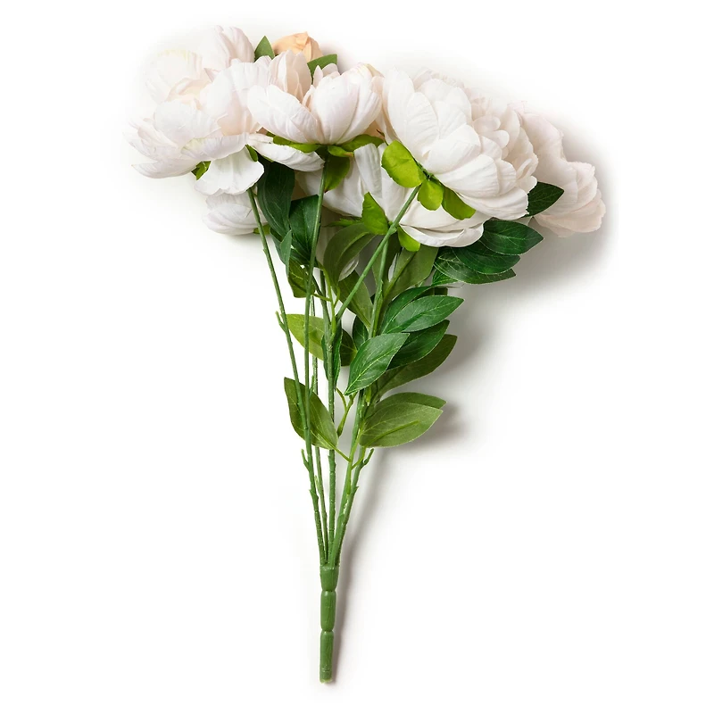 Cream Peony Bush by Ashland®