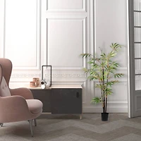 4ft. Potted Black Japanese Bamboo Tree