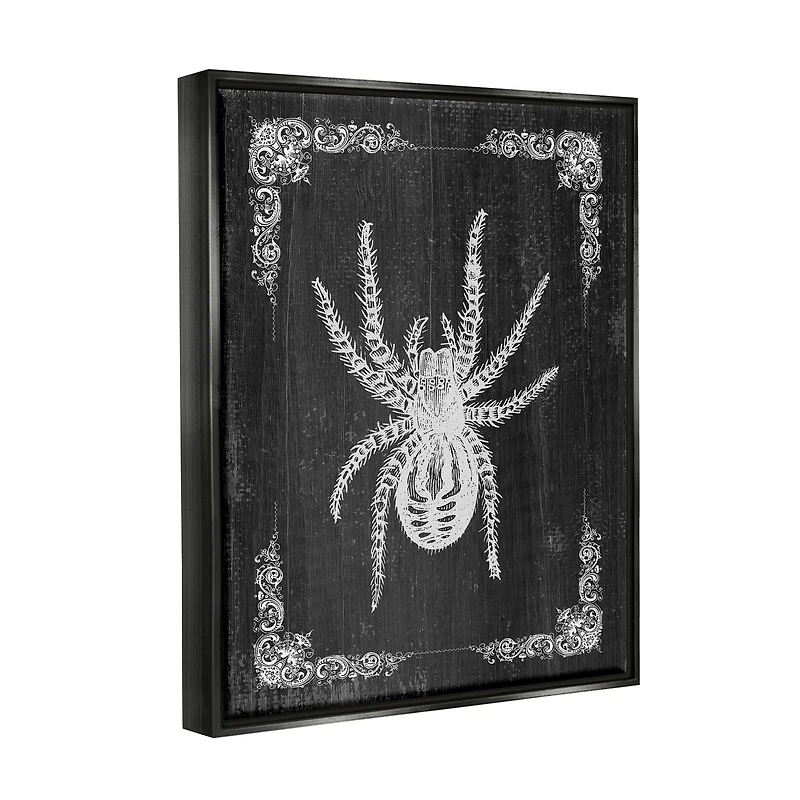 Stupell Industries Black & White Spider Framed Floater Canvas Wall Art
