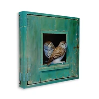 Stupell Industries Spotted Owls Perched Rustic Green Door Ledge Canvas Wall Art