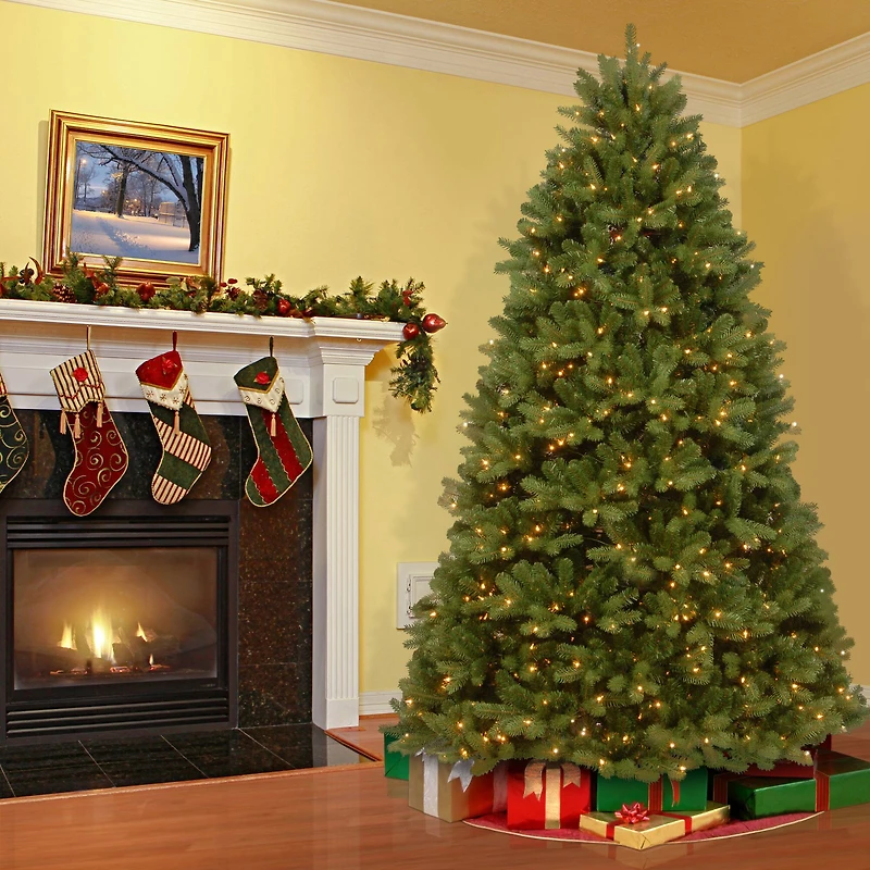 6ft. Pre-Lit Newberry® Spruce Artificial Christmas Tree, Clear Lights