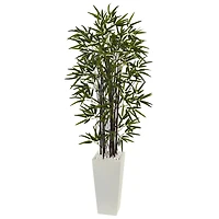 5.5ft. Black Bamboo Tree in White Tower Planter