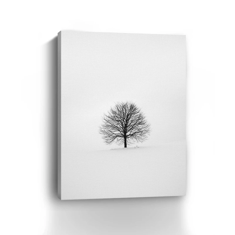 Solitary 1 Canvas Giclee