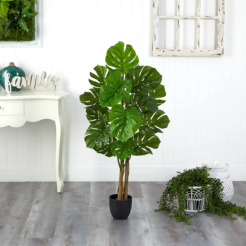 4ft. Potted Monstera Tree