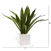 18" Snake Plant in White Planter