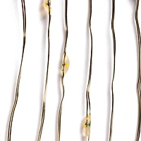 40ct. Warm White Silver Wire LED String Lights by Ashland®