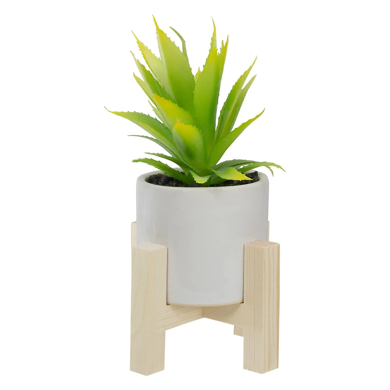 8.25" Potted Green Agave Plant with Wooden Stand