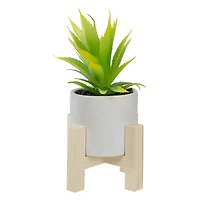 8.25" Potted Green Agave Plant with Wooden Stand