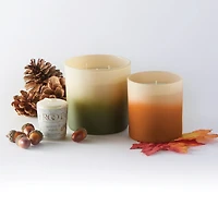 Root Candles Pinecones & Wool 3-Wick Scented Beeswax Blend Candle