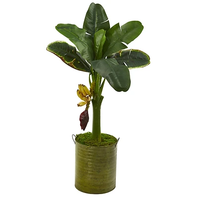 3ft. Banana Tree in Green Planter