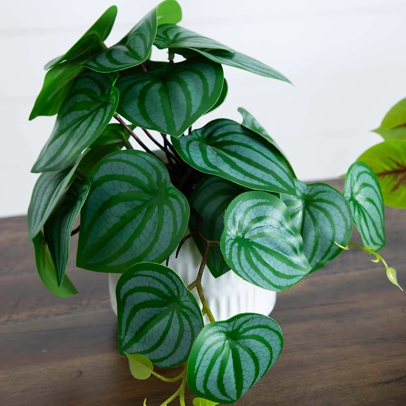 8" Mixed Greenery in Ceramic Planters Set