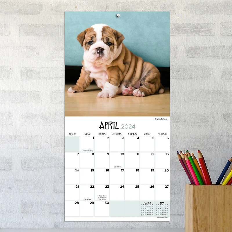 TF Publishing 2024 Puppies Mini Calendar