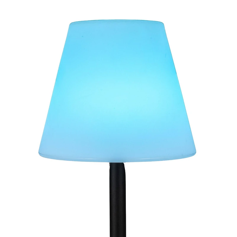 Hello Honey® 57.75" Black Touch Sensor Metal Solar Floor Lamp