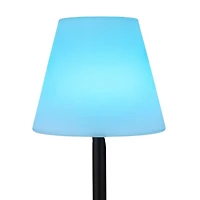 Hello Honey® 57.75" Black Touch Sensor Metal Solar Floor Lamp