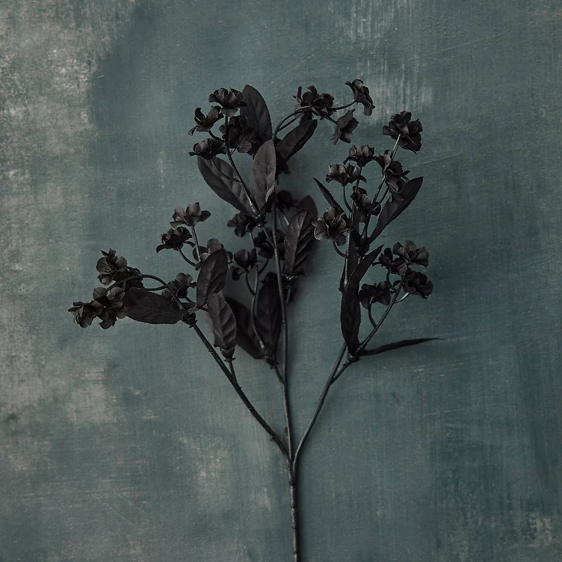 12 Pack: Black Double Baby's Breath Spray by Ashland®