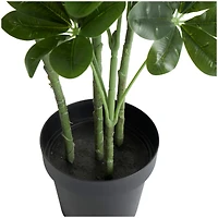 5ft. Potted Green Faux Foliage Artificial Money Tree
