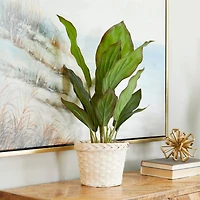 2ft. Coastal Style Artificial Foliage in White Bamboo Pot