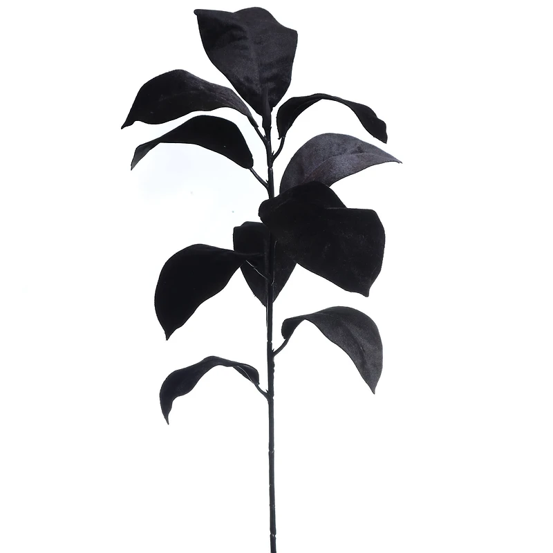 31.5" Black Magnolia Leaves Stem by Ashland®