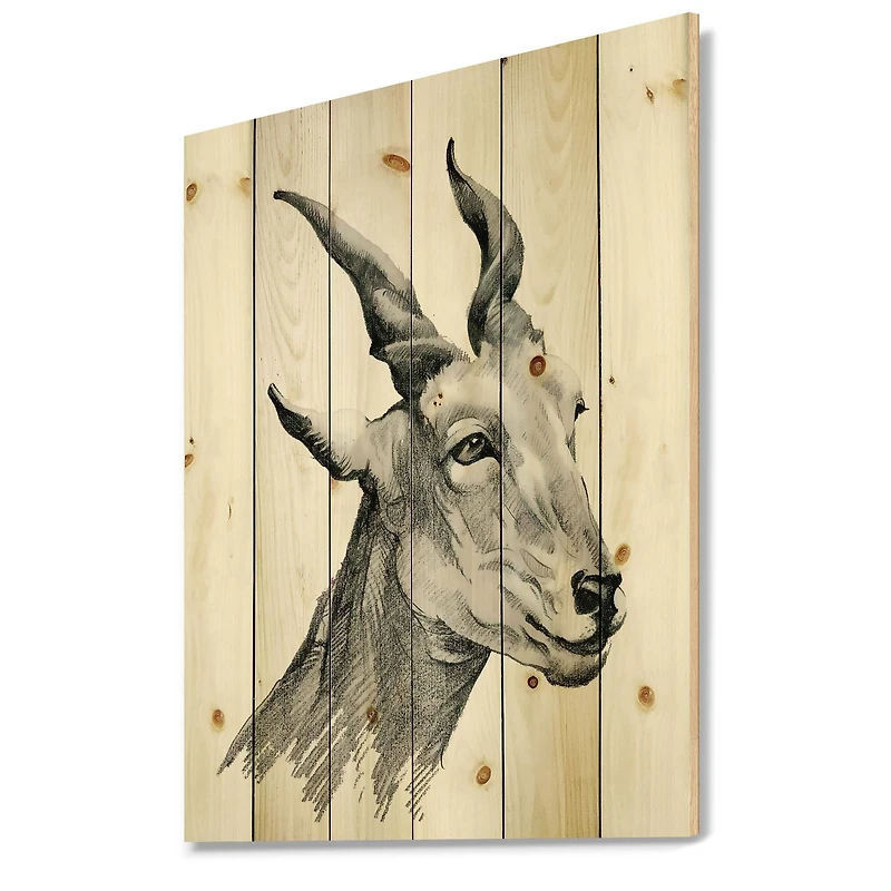 Designart - Monochrome Portrait Of Goat I