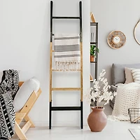 5.5ft. Decorative Leaning Ladder