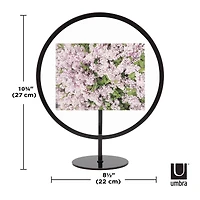 Umbra Black Infinity Round 4" X 6" Picture Frame