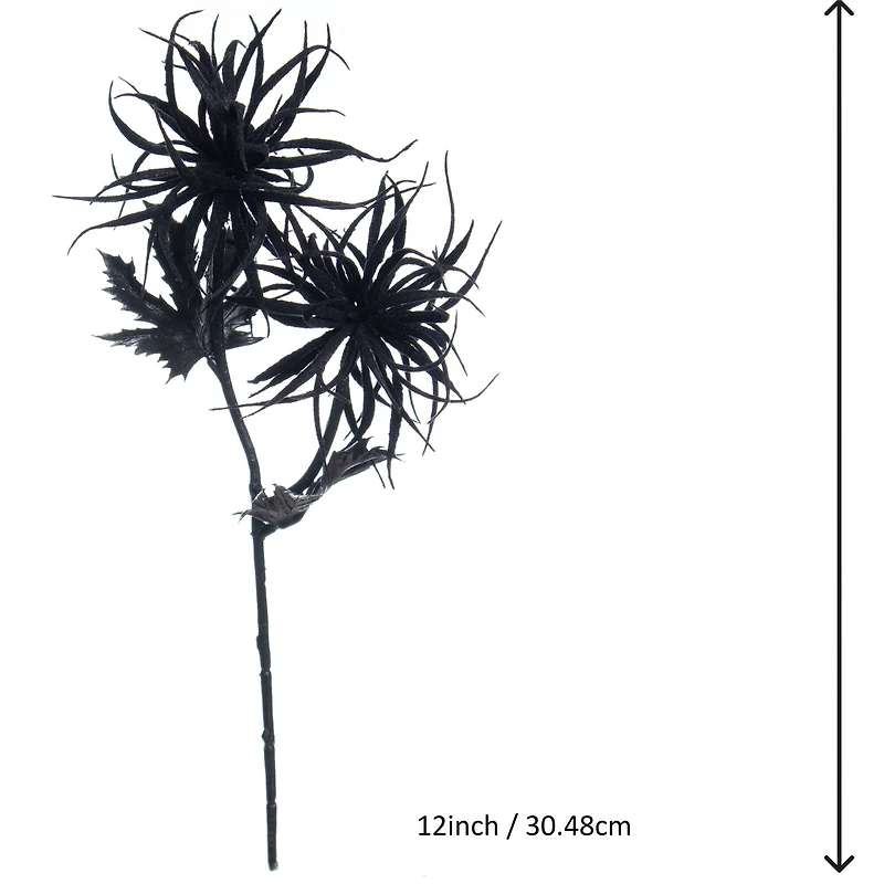 12" Air Plant Pick by Ashland®
