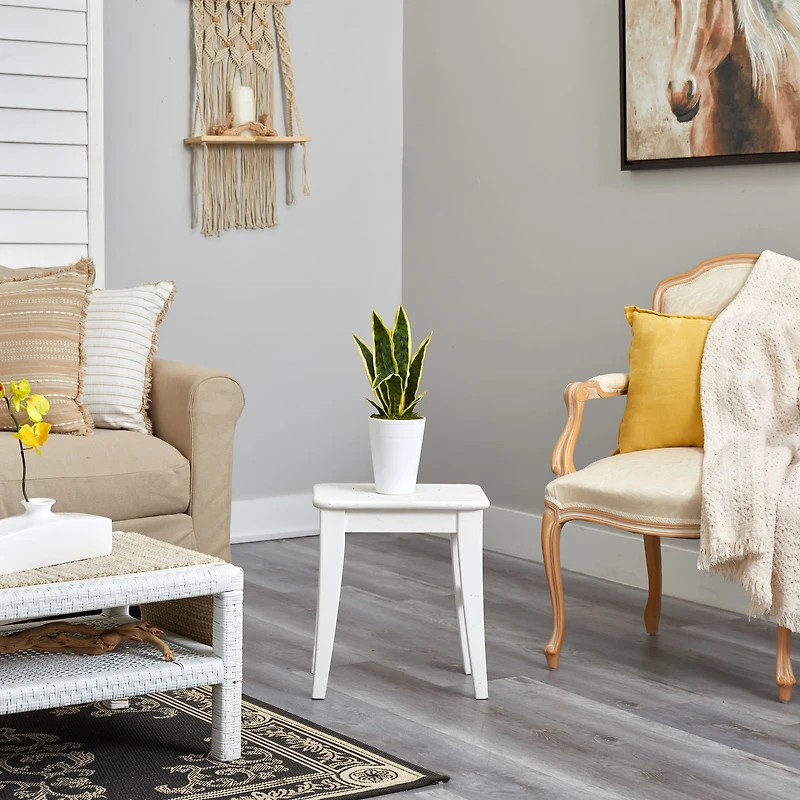 18" Snake Plant in Decorative White Planter