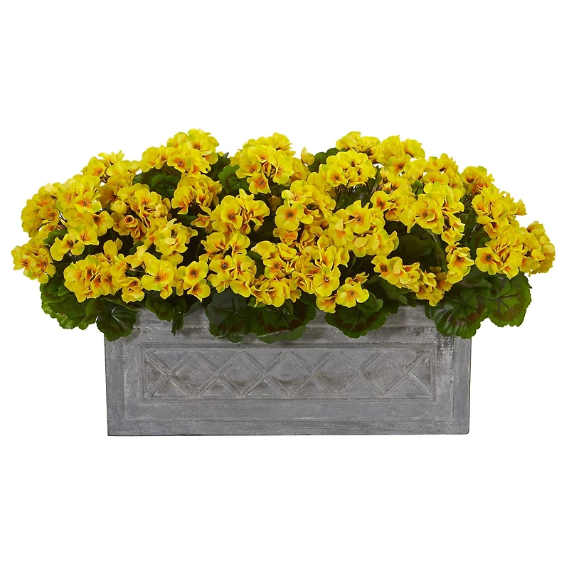 18” Yellow Geranium in Stone Planter