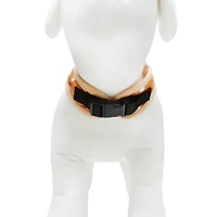 Best Furry Friends Hotdog Harness