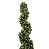3ft. Potted Boxwood Spiral Tree