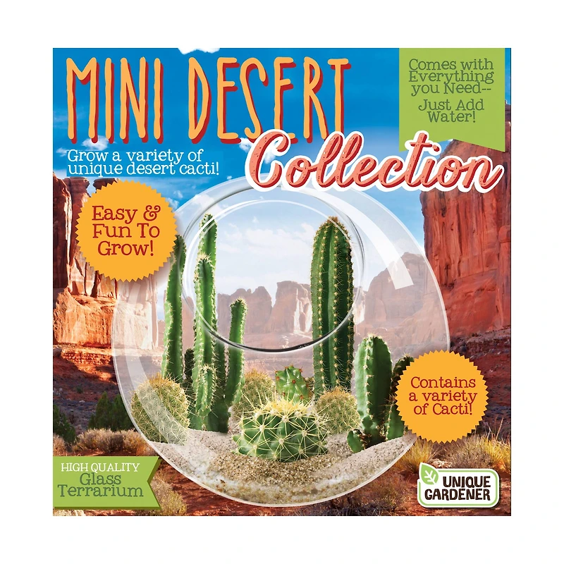 Glass Terrarium - Mini Desert Collection