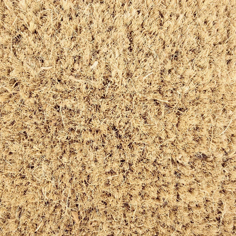 DII® Hello/Goodbye Doormat