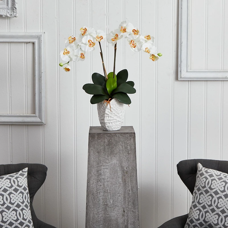 23" White Double Stem Orchid Arrangement in White Textured Vase