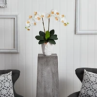 23" White Double Stem Orchid Arrangement in White Textured Vase