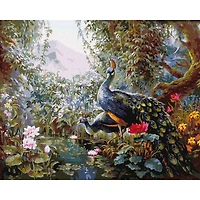 Ideyka Fairytale Peacocks Painting by Numbers Kit