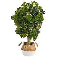 4ft. Schefflera Artificial Tree in Boho Chic Handmade Cotton & Jute Woven Planter (Real Touch