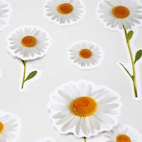 White Daisy Dimensional Stickers by Recollections™