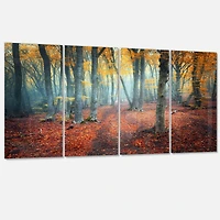 Designart - Red and Yellow Autumn Forest
