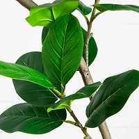 7ft. Artificial Curved Trunk Audrey Ficus Tree