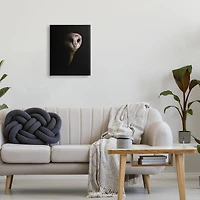 Stupell Industries Intense Barn Owl Black Shadow Photography Canvas Wall Art