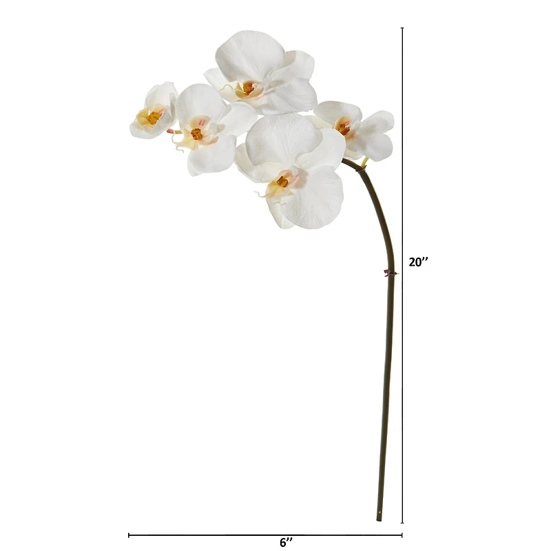 20" Phalaenopsis Orchid Artificial Flower (Set of 12)
