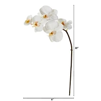 20" Phalaenopsis Orchid Artificial Flower (Set of 12)