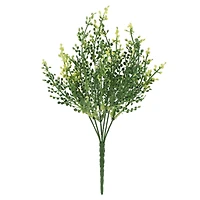 14" Berry Bush by Ashland