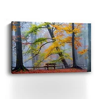 Take A Seat And Enjoy Canvas Giclee