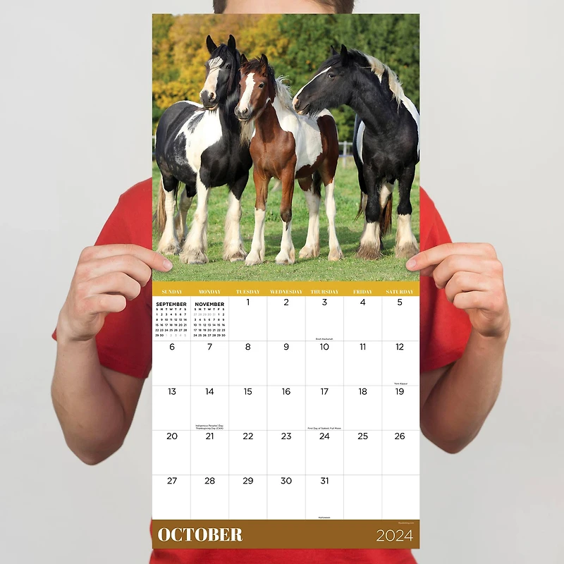 TF Publishing 2024 Horses Wall Calendar