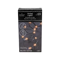50ct. Orange LED String Lights by Ashland®