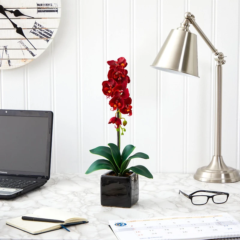 20" Orchid Arrangement in Black Planter